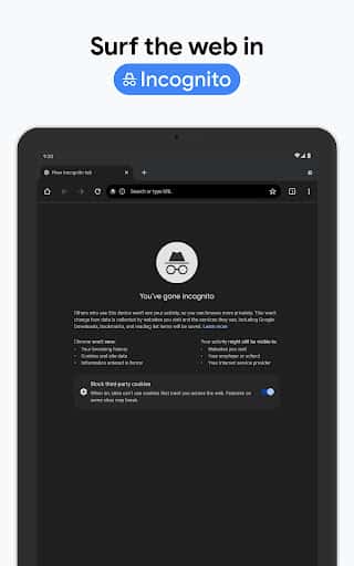 Mise à jour Google Chrome dernière version - Capture d'écran Android 22